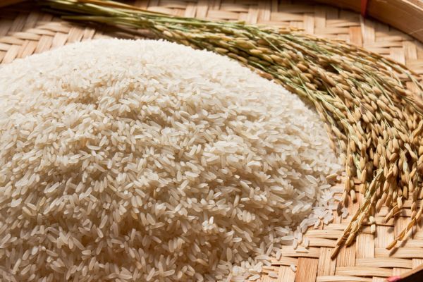 برنج دستچین نعمتی